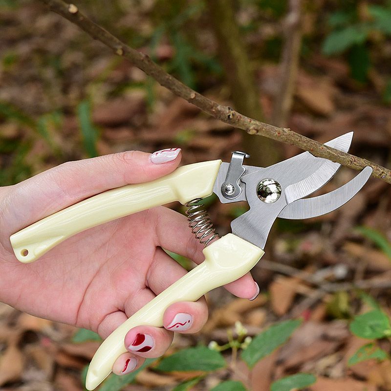 Pruning Shears - กรรไกรตัดแต่งกิ่งไม้แบบประหยัดแรงงาน, กรรไกรตัดกิ่งมืออาชีพสำหรับกิ่งไม้, ก้านดอกไม้ และตัดแต่งต้นไม้ผล, ทนทานสูง
