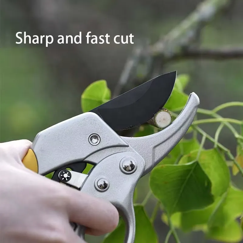 EE1 สำหรับกรรไกรตัดกิ่งแบบมีด้ - Pruning Shears บทวิจารณ์และราคา