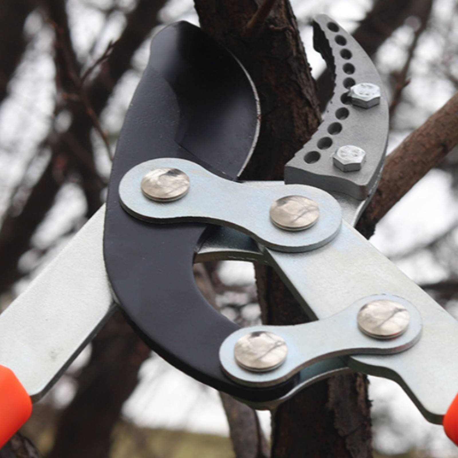 กรรไกรตัดกิ่งแบบยืดหดได้ ใบมีด - Gardening Tools In บทวิจารณ์และราคา