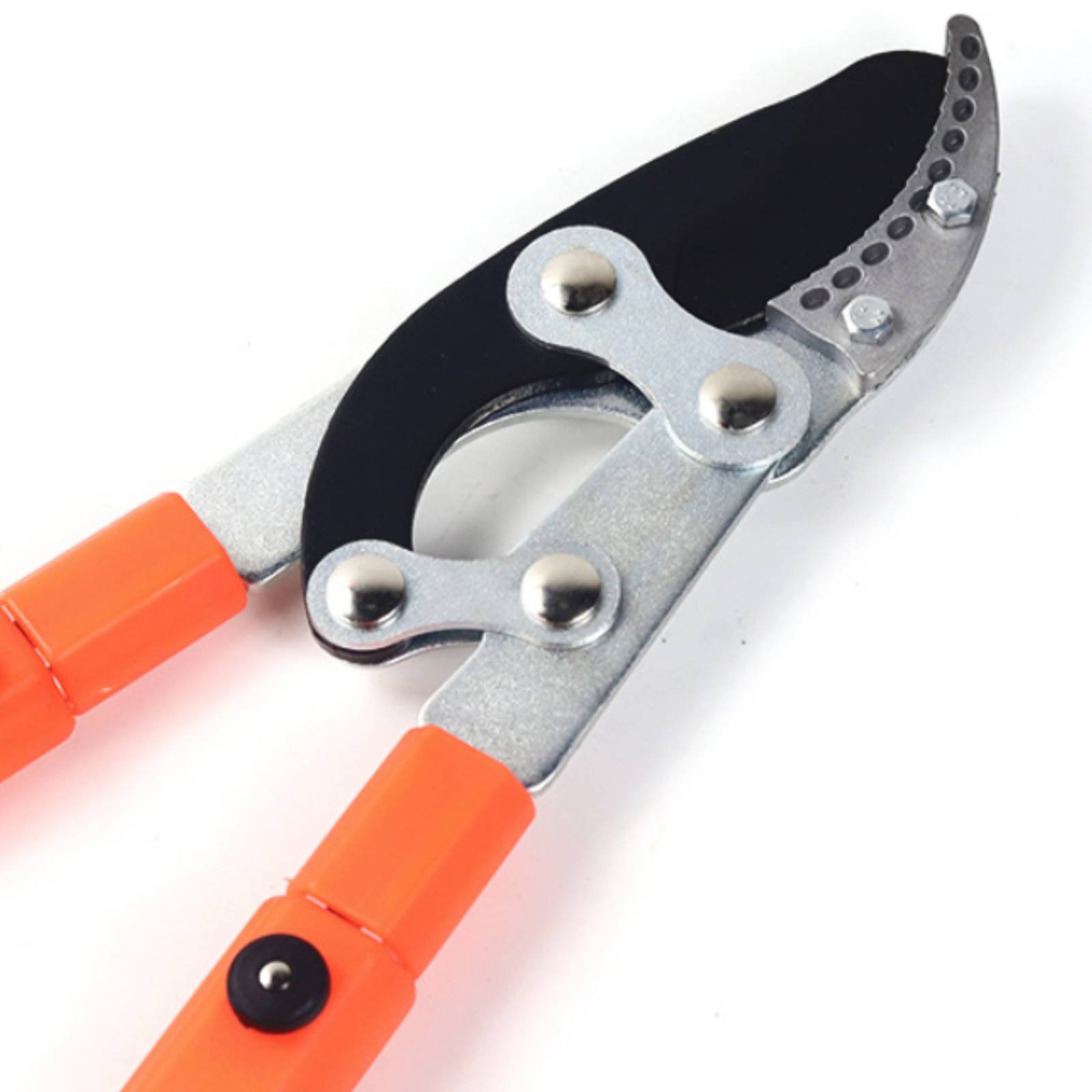 กรรไกรตัดกิ่งแบบยืดหดได้ ใบมีด - Gardening Tools In บทวิจารณ์และราคา