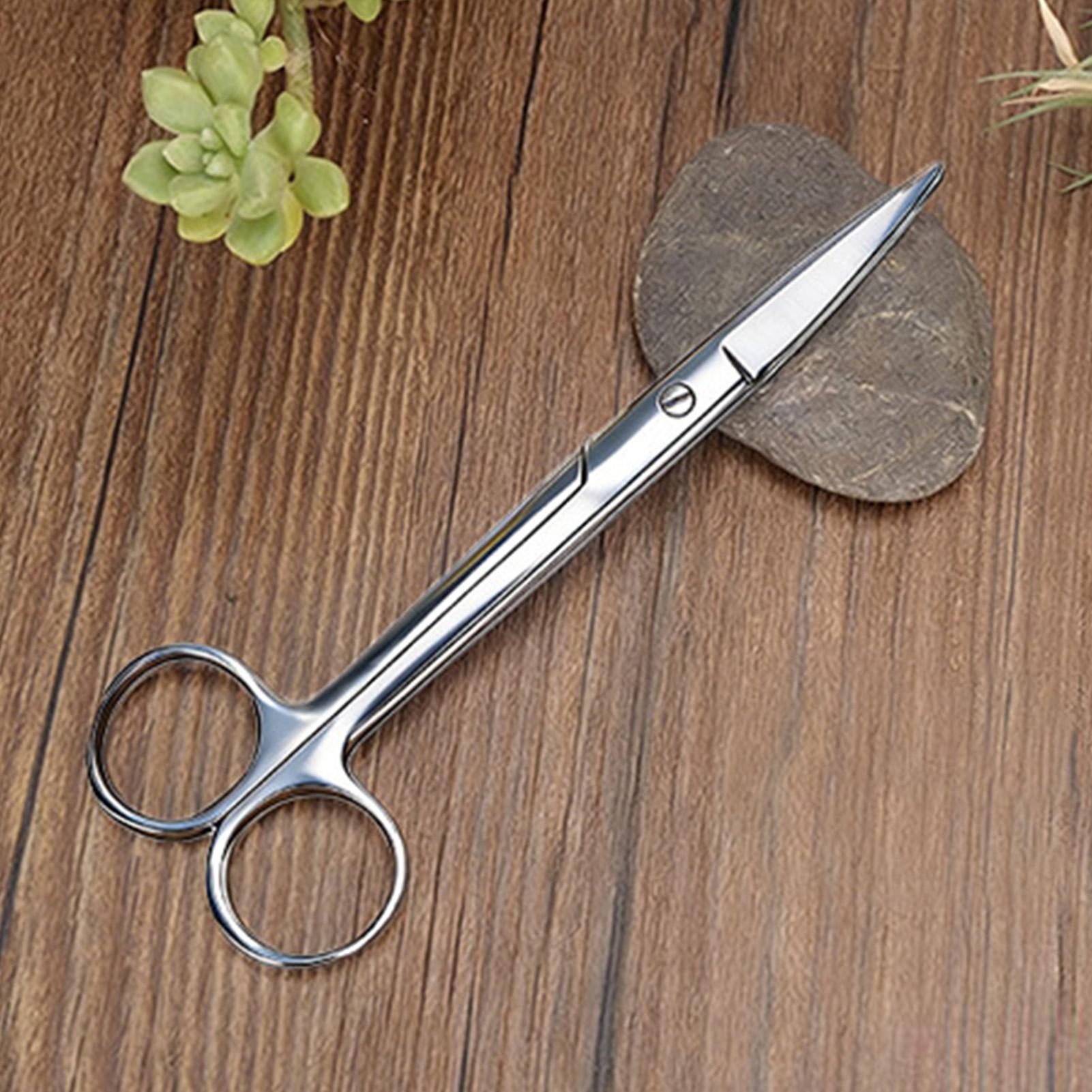 กรรไกรตัดแต่งกิ่งสแตนเลส ด้ามจ - Pruning Shears บทวิจารณ์และราคา